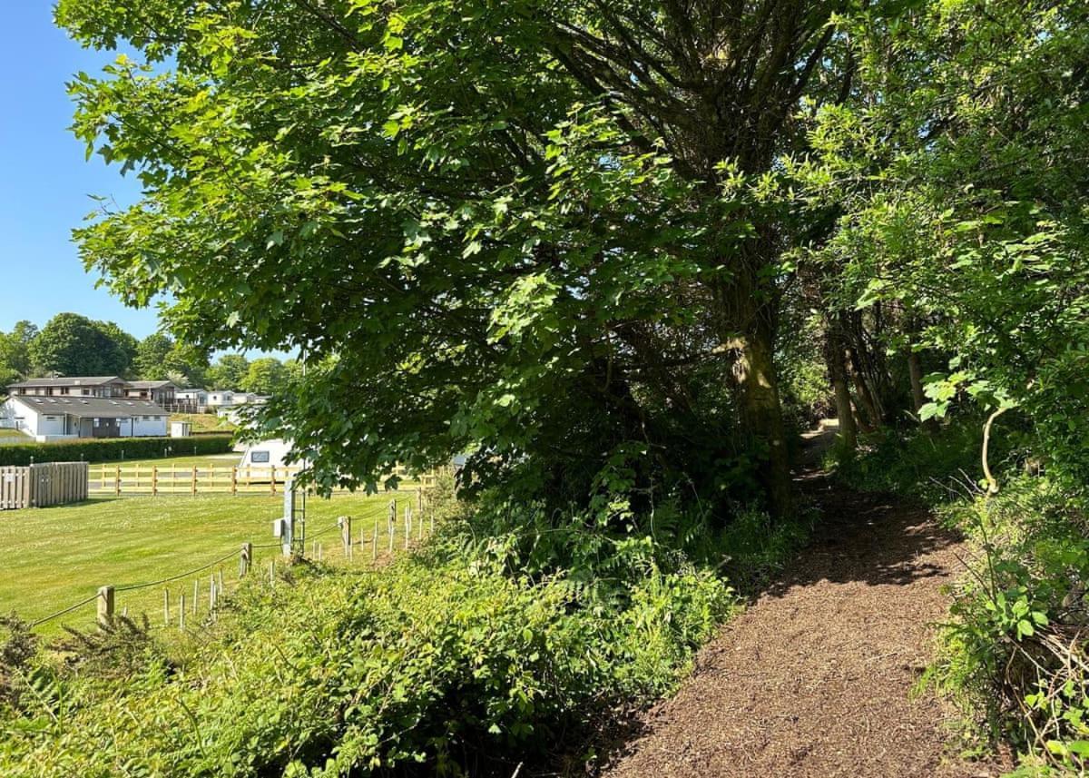 Calloose Holiday Park Hayle Exterior foto